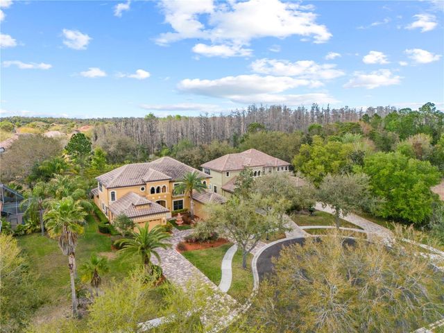 20120 SHADY HILL LANE, Tampa, FL 33647