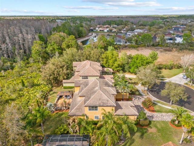 20120 SHADY HILL LANE, Tampa, FL 33647