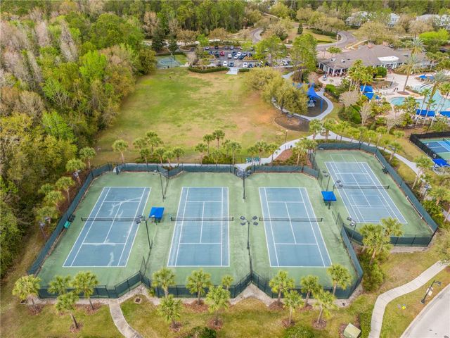 20120 SHADY HILL LANE, Tampa, FL 33647