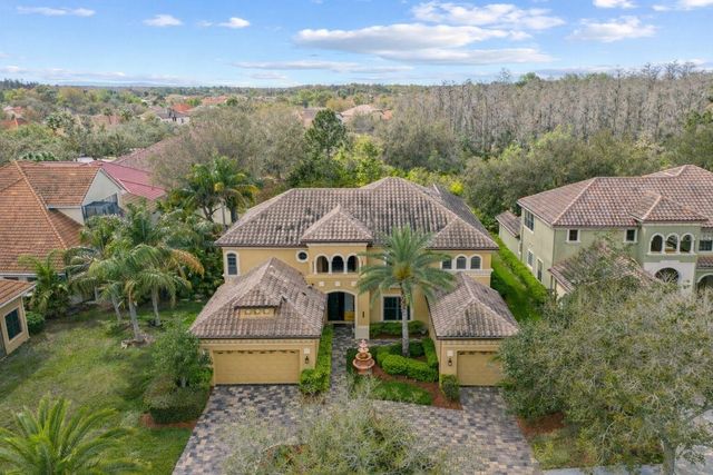 20120 SHADY HILL LANE, Tampa, FL 33647