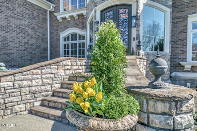 1128 Mountain Vista Pvt Drive, Bristol, TN 37620