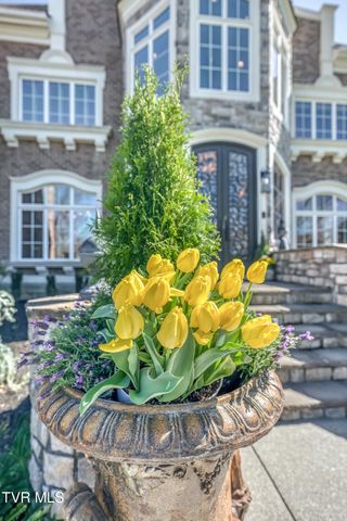 1128 Mountain Vista Pvt Drive, Bristol, TN 37620