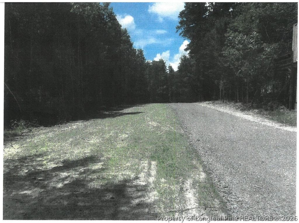 Pumping Station Road Road E, Sanford, NC 27330 — photo 3