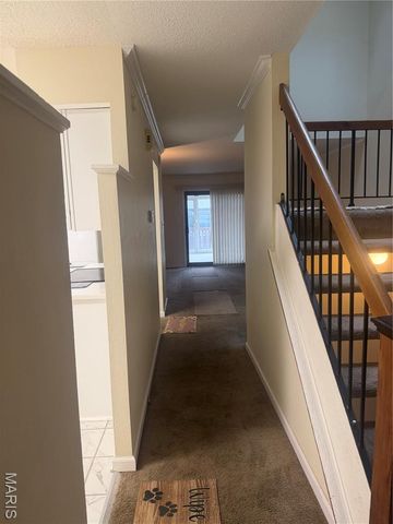 11752 Russet Meadow Drive, St Louis, MO 63146