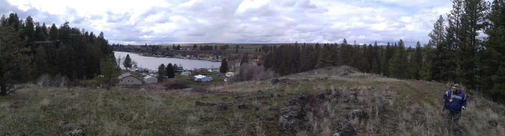 TBD W Williams Lake Rd, Cheney, WA 99004 photo 5