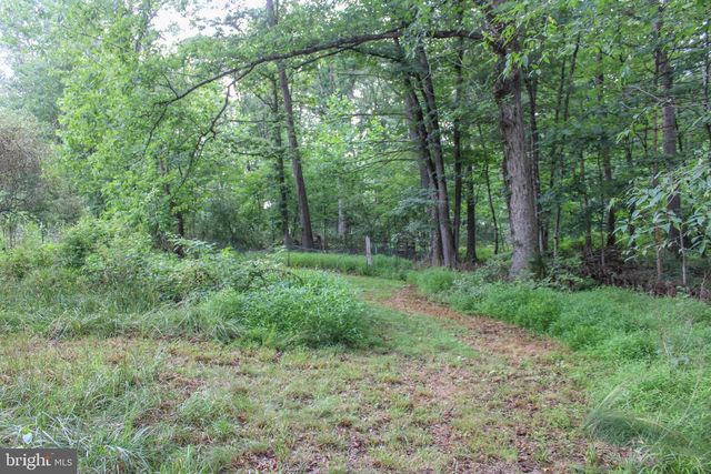 4547 ALUM SPRINGS RD, Edinburg, VA 22824