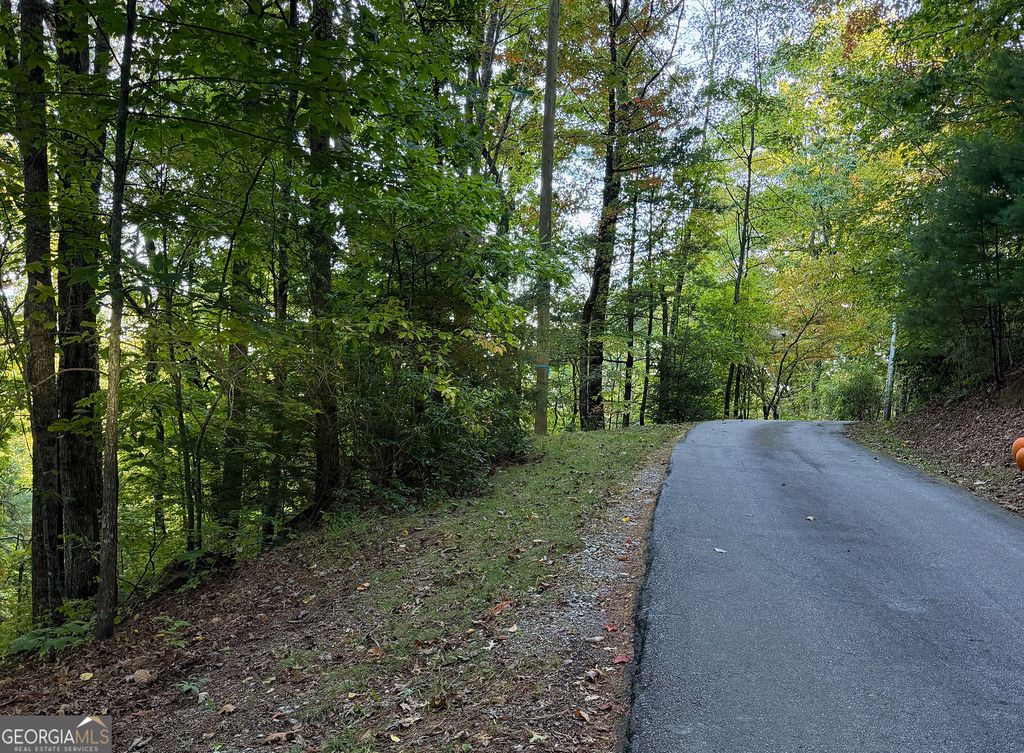 0 Round Top 43 B, Clayton, GA 30525 — exterior