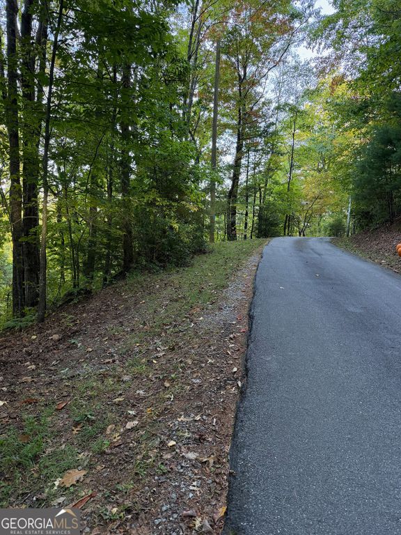 0 Round Top 43 B, Clayton, GA 30525 — photo 2