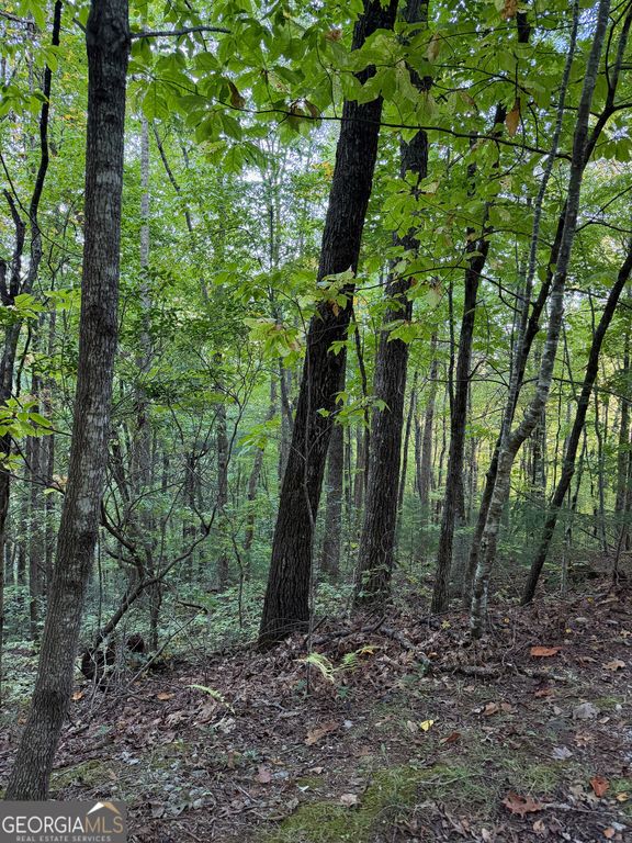 0 Round Top 43 B, Clayton, GA 30525 — photo 3