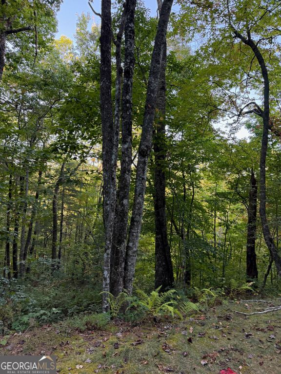 0 Round Top 43 B, Clayton, GA 30525 — photo 5
