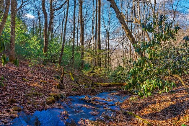 339 Stillhouse Branch Road, Laurel Springs, NC 28644