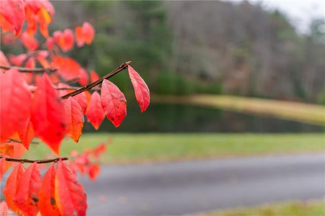 339 Stillhouse Branch Road, Laurel Springs, NC 28644