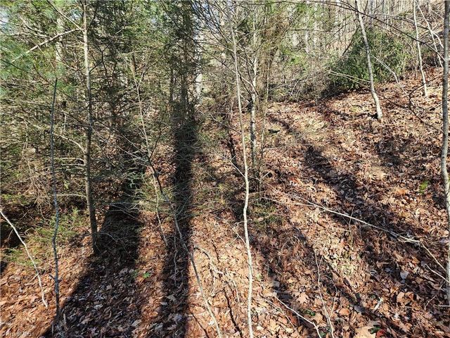 339 Stillhouse Branch Road, Laurel Springs, NC 28644