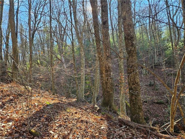 339 Stillhouse Branch Road, Laurel Springs, NC 28644