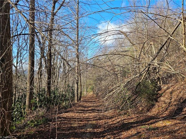 339 Stillhouse Branch Road, Laurel Springs, NC 28644