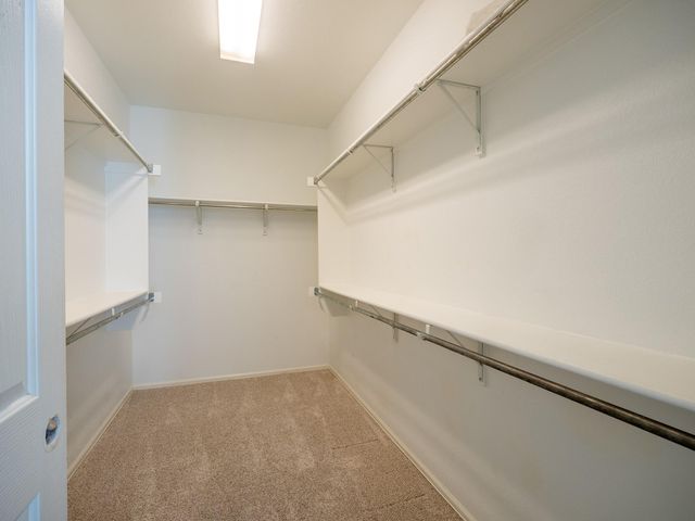 572 Big Meadow RD, Austin, TX 78737