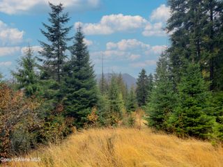 NKA White Cloud Dr, Sandpoint, ID 83864