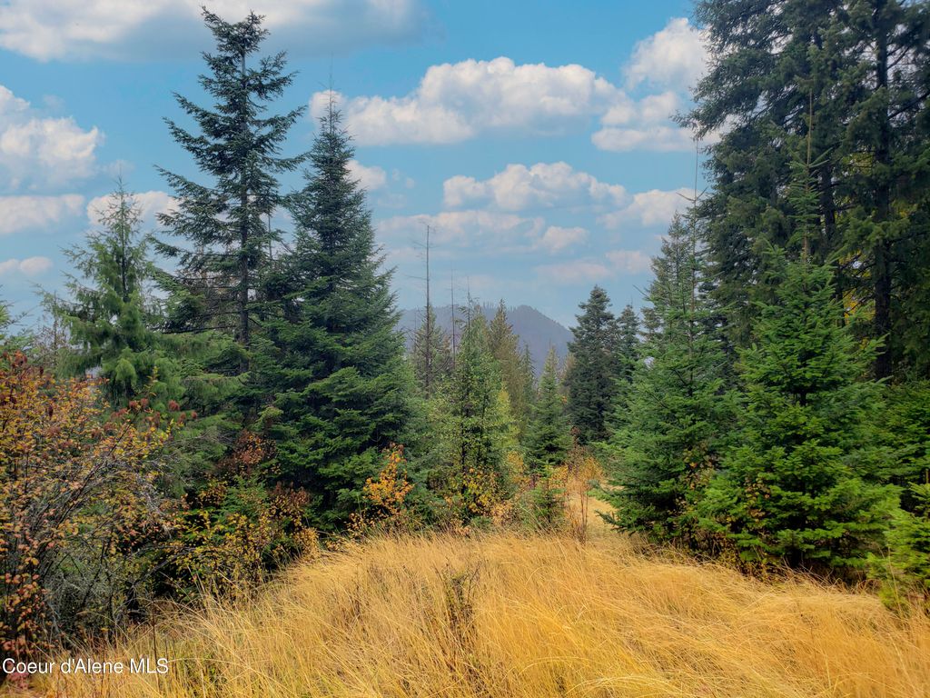 NKA White Cloud Dr, Sandpoint, ID 83864