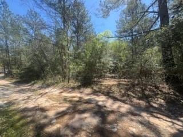 16442 Whippoorwill Road, Navasota, TX 77868