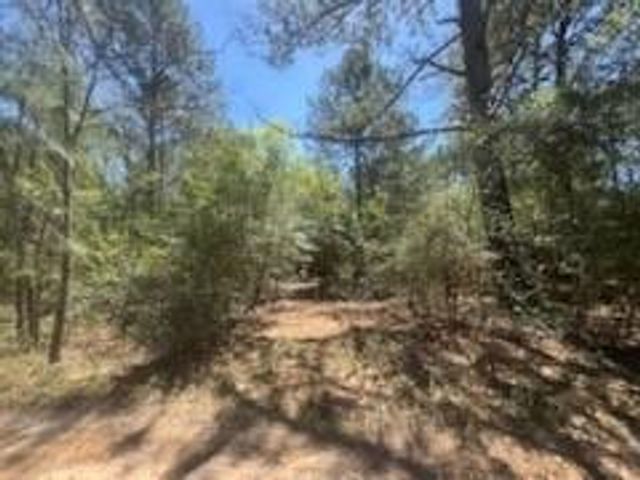 16442 Whippoorwill Road, Navasota, TX 77868