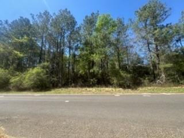 16442 Whippoorwill Road, Navasota, TX 77868