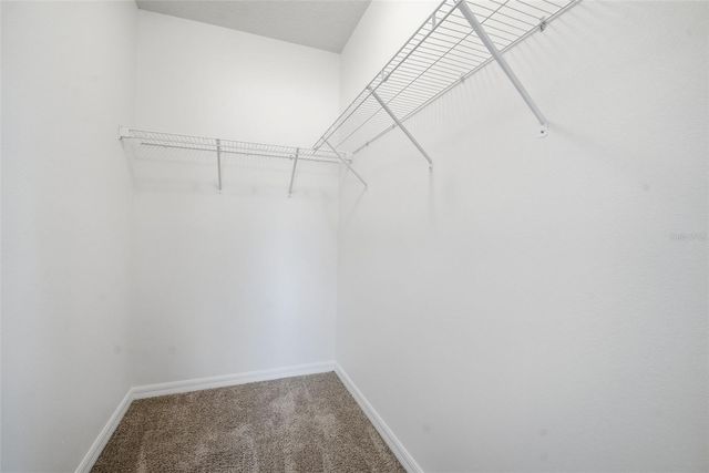 11106 LELAND GROVES DRIVE, Riverview, FL 33579