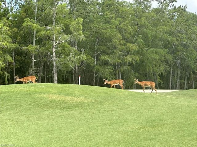 3715 Buttonwood WAY # 1711, Naples, FL 34112