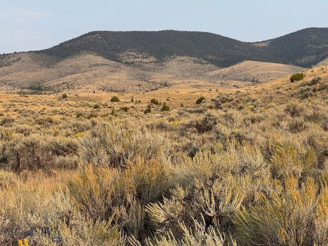 TBD Sheep Camp Road, Whitehall, MT 59759