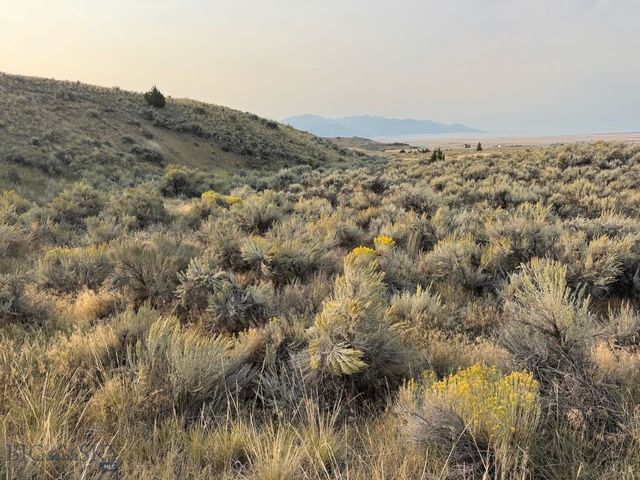 TBD Sheep Camp Road, Whitehall, MT 59759