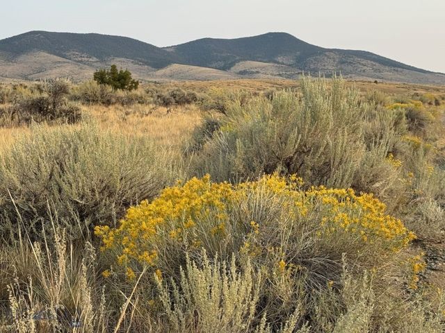 TBD Sheep Camp Road, Whitehall, MT 59759