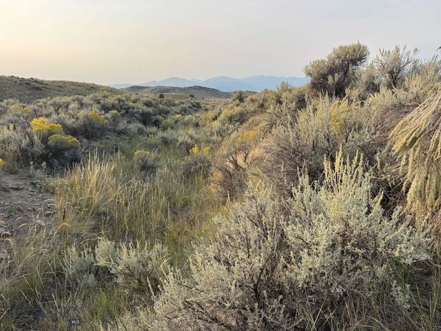 TBD Sheep Camp Road, Whitehall, MT 59759