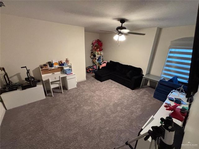 2521 Antelope Canyon Street, Edinburg, TX 78541