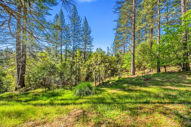 16080 Mount Whitney, Fiddletown, CA 95629