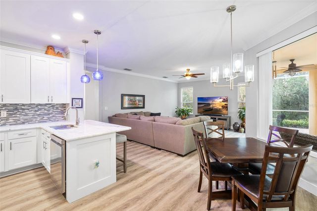 5919 JAEGERGLEN DRIVE, Lithia, FL 33547