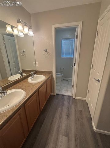 6423 Leisure Hill Grove, Colorado Springs, CO 80923