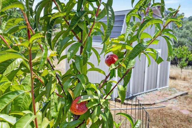 5080 Sagebrush Rd, Garden Valley, CA 95633