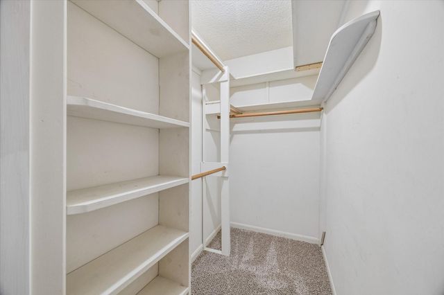 1323 Reddleshire Lane 1323, Houston, TX 77043