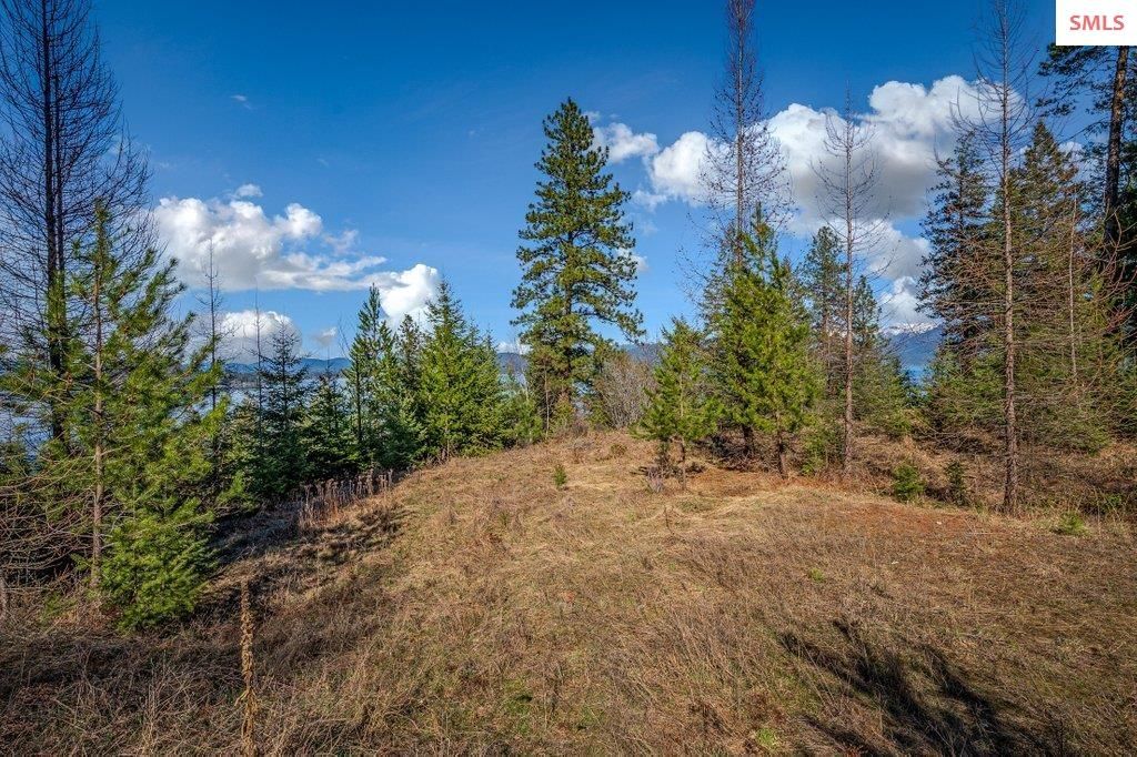 477 Big Pine Drive - 5.6 Acres, Sagle, ID 83860 photo 81