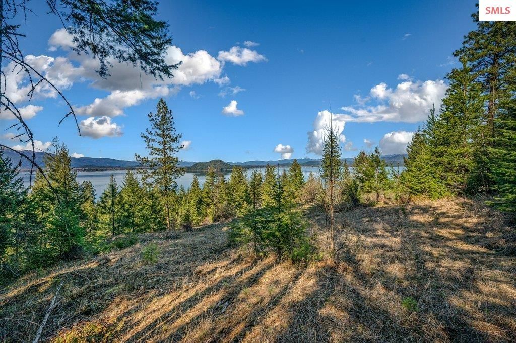 477 Big Pine Drive - 5.6 Acres, Sagle, ID 83860 photo 83