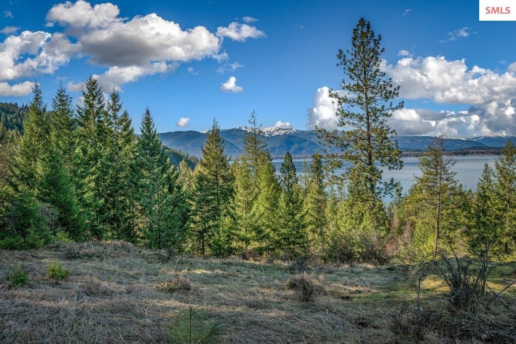 477 Big Pine Drive - 5.6 Acres, Sagle, ID 83860 photo 84