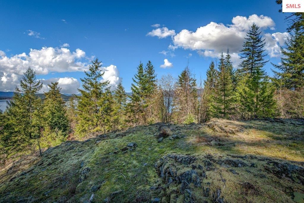 477 Big Pine Drive - 5.6 Acres, Sagle, ID 83860 photo 85