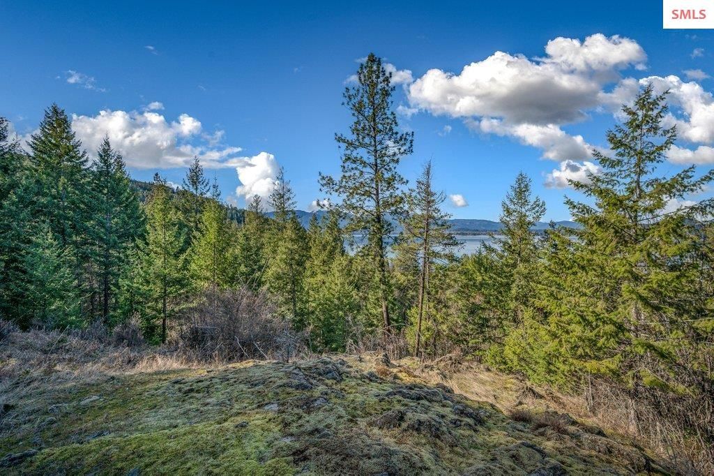 477 Big Pine Drive - 5.6 Acres, Sagle, ID 83860 photo 86