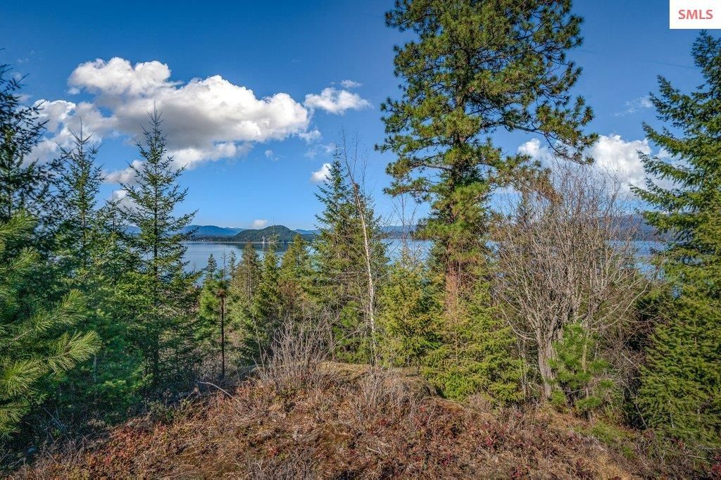 477 Big Pine Drive - 5.6 Acres, Sagle, ID 83860 photo 87