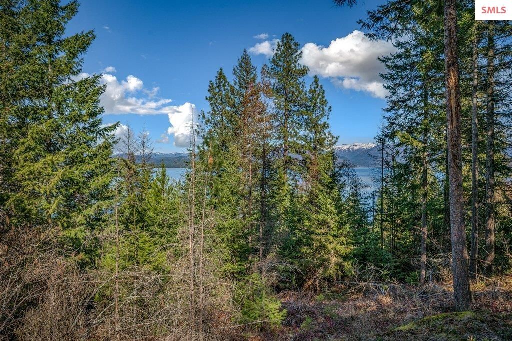 477 Big Pine Drive - 5.6 Acres, Sagle, ID 83860 photo 88