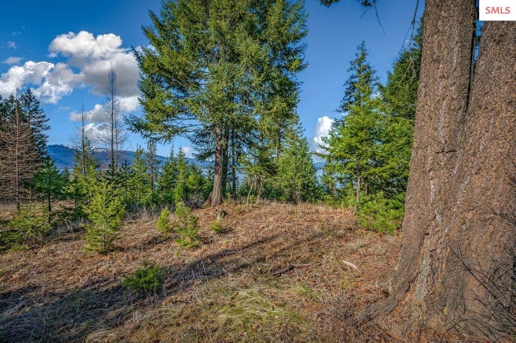 477 Big Pine Drive - 5.6 Acres, Sagle, ID 83860 photo 89