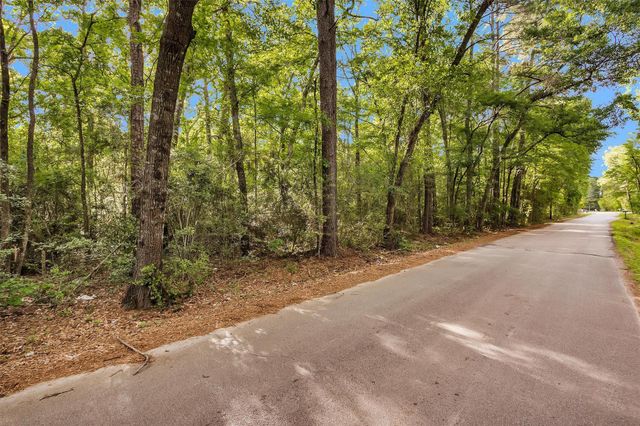 15686 Ben Wiggins, Conroe, TX 77303