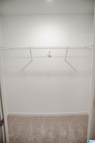 1315 ARCHER'S COVE WAY, Springville, AL 35146