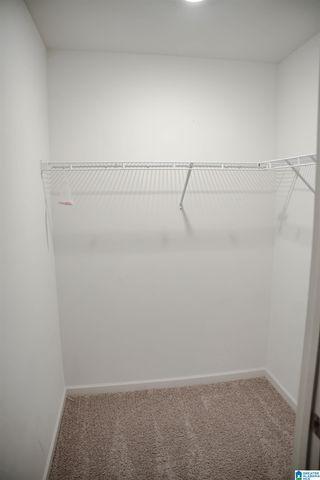 1315 ARCHER'S COVE WAY, Springville, AL 35146