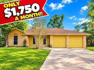 23010 Berry Pine Dr, Apple Springs, TX 77373