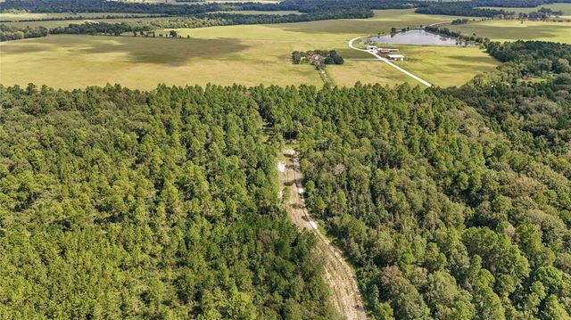 09 Old Beaumont, Sour Lake, TX 77659